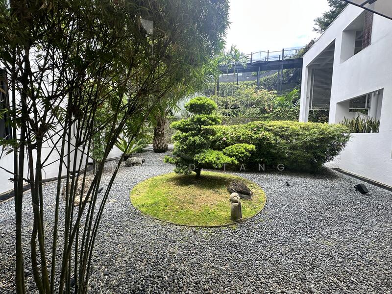 Cornwall Gardens, Tanglin / Holland / Bukit Timah, 5 Bedrooms, 9,000 sqft, Good Class Bungalow For Sale, by Edward Tang, 60016677 - Garden - PropertyGuru.com.sg