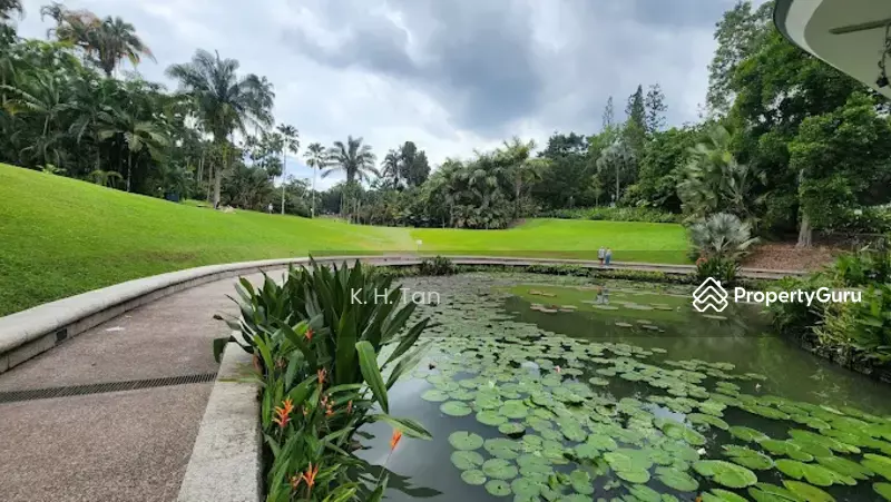 Near Botanic Garden