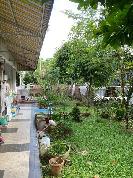 For Sale - Upper Bukit Timah Bungalow Cheap