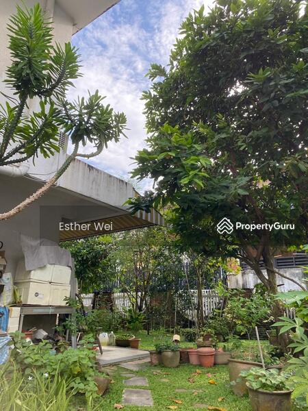 For Sale - Upper Bukit Timah Bungalow Cheap