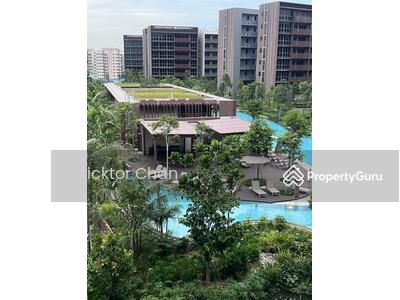 For Rent - Pasir Ris 8