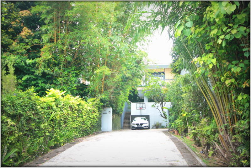 Private long driveway