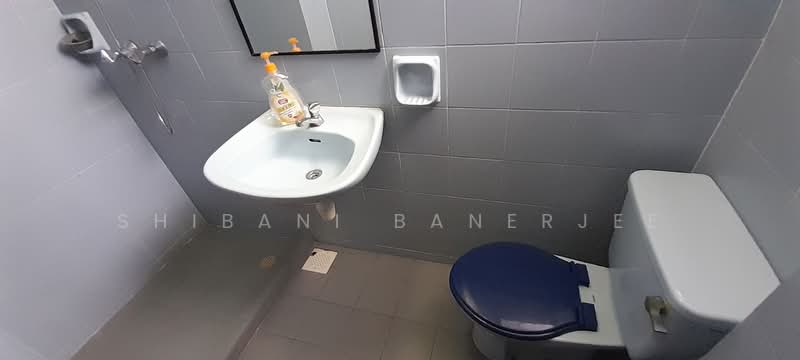 Balmoral Gate, 33 Balmoral Road, Room Rental, 100 sqft, Condominium For Rent, by Shibani Banerjee, 60020151 - PropertyGuru.com.sg