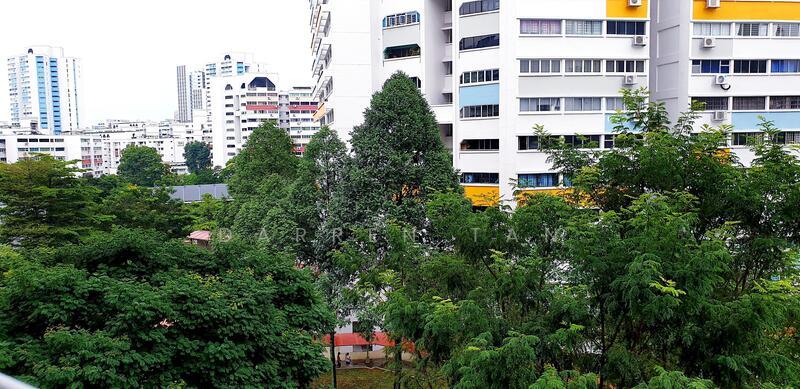 Lovely, Tree Canopy View 