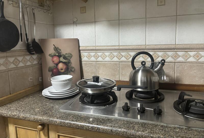 The Bayshore, 22 Bayshore Road, Room Rental, 80 sqft, Condominium For Rent, by Celia Chong 张瑂籣, 60021267 - Kitchen - PropertyGuru.com.sg