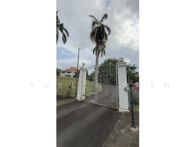 For Sale - orchid GCB for sale