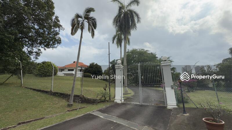 For Sale - orchid GCB for sale