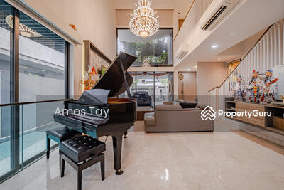 For Sale - Nim Collection