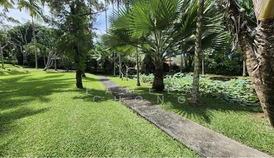 For Sale - AUSPICIOUS⭐️ $15XX PSF!! KHEAM HOCK AREA⭐️ SUBDIVISIBLE REGULAR PLOT ☎️ PAM 90228600