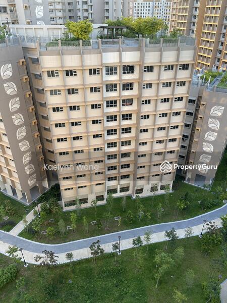 For Rent - 222A Tengah Garden Avenue