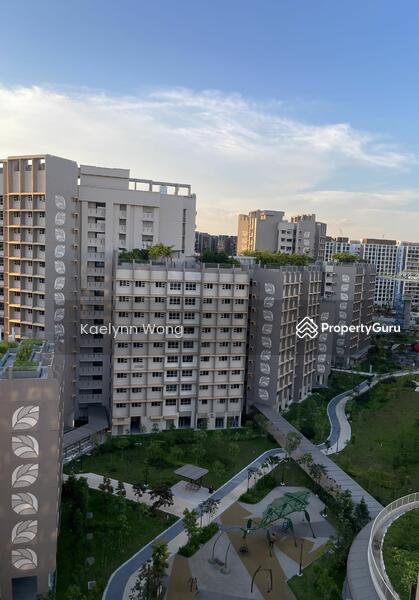 For Rent - 222A Tengah Garden Avenue