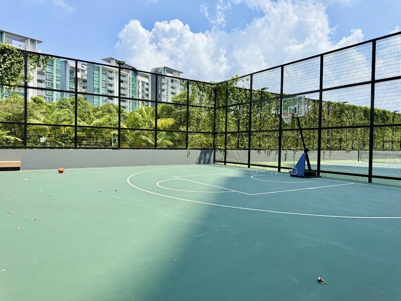 Basket Ball Court