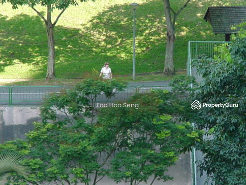 Park Connector 