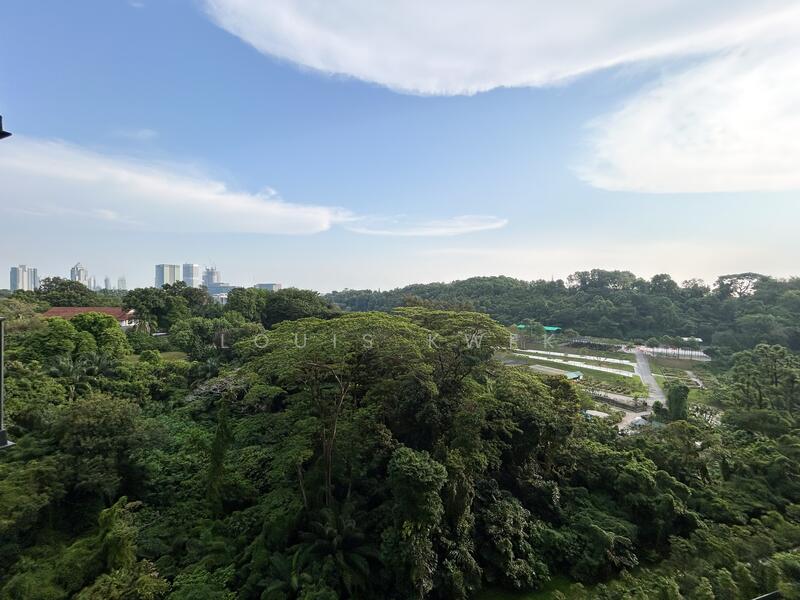 View