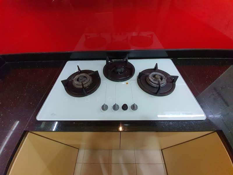 Casa Rosa, 35 Lorong Ong Lye, 3 Bedrooms, 1,130 sqft, Condominium For Sale, by George Teo, 60029638 - Kitchen - PropertyGuru.com.sg