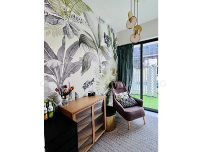 For Sale - Sycamore Tree