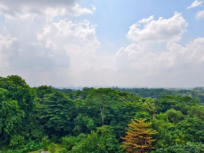 View