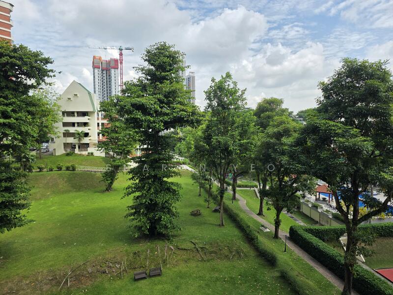 Open greenery view 