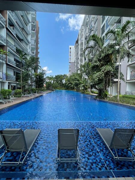 Forest Woods, , 1 Bedroom, 517 sqft, Condominium For Rent, by Kenneth Tan, 60031554 - Pool - PropertyGuru.com.sg