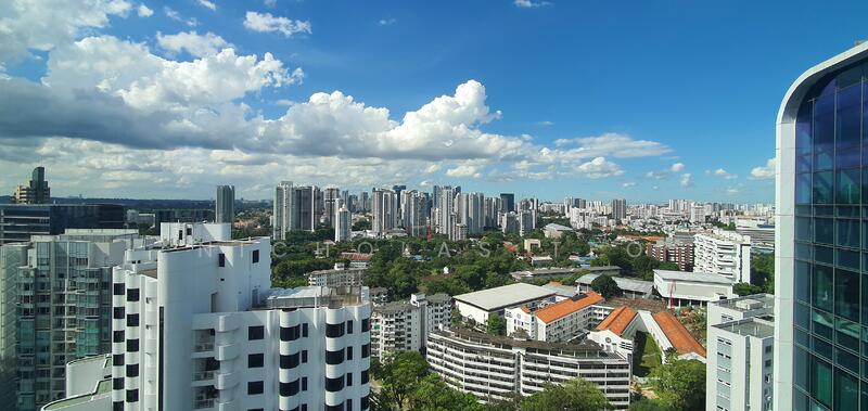 View