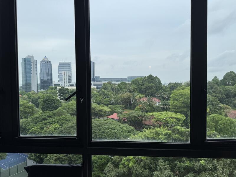 View from Bedroom