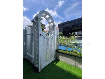 For Sale - Sycamore Tree