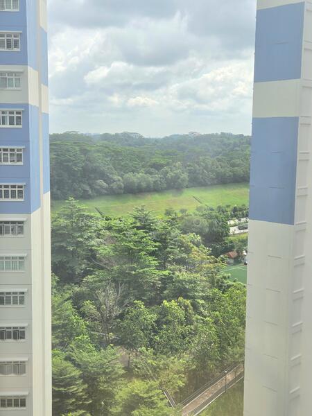 Pocket greenery view