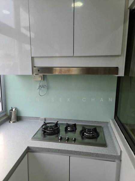 Finland Gardens, 54 East Coast Terrace, East Coast / Marine Parade, 1 Bedroom, 600 sqft, Condominium For Rent, by Tan Sek Chan, 60040397 - Kitchen - PropertyGuru.com.sg