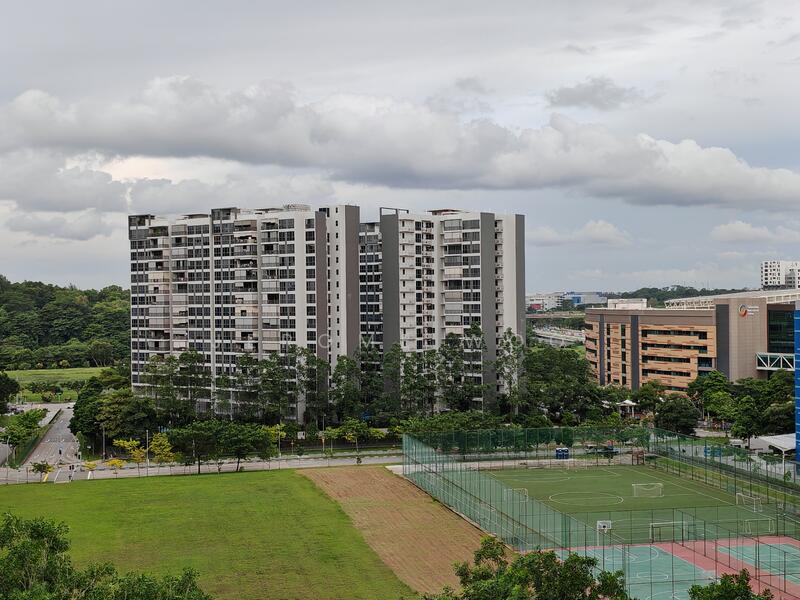 View