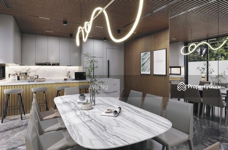 For Sale - ⭐️D15 ⭐️Rare Brand New 3.5 Storey Semi D @ Langsat Rd, Joo Chiat, Eunos MRT