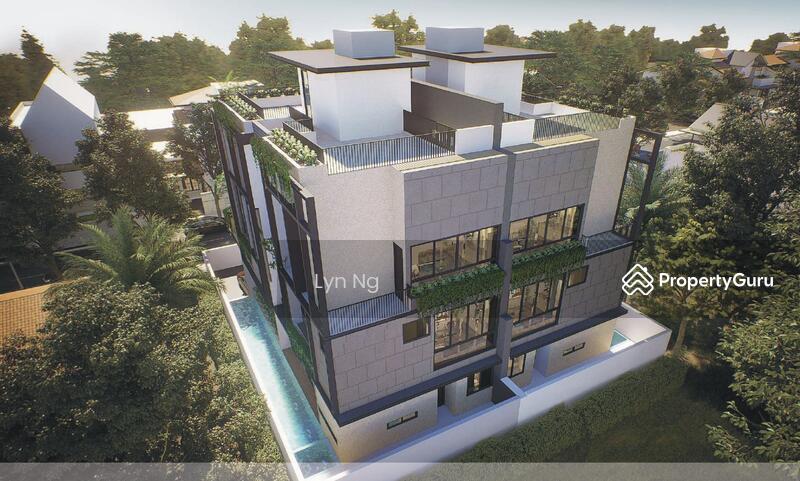 For Sale - ⭐️D15 ⭐️Rare Brand New 3.5 Storey Semi D @ Langsat Rd, Joo Chiat, Eunos MRT
