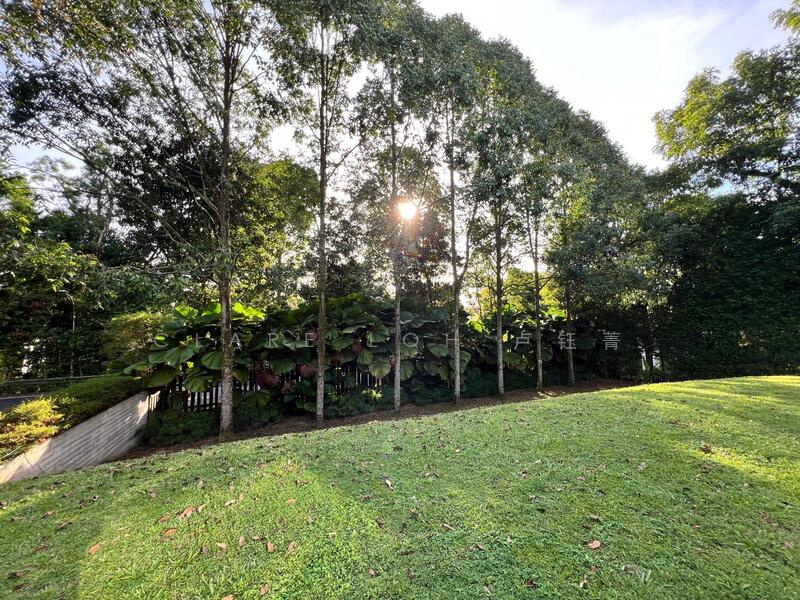 For Rent - Bukit Timah road