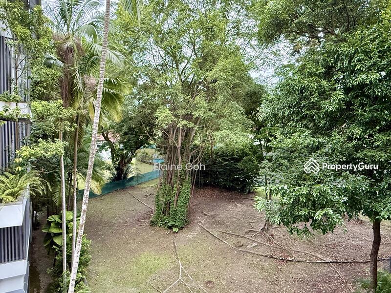 For Rent - NassimVille