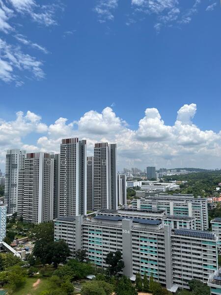 View