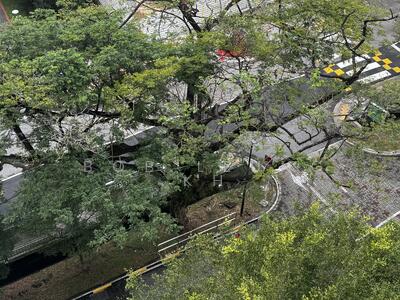 For Sale - 339C Kang Ching Road