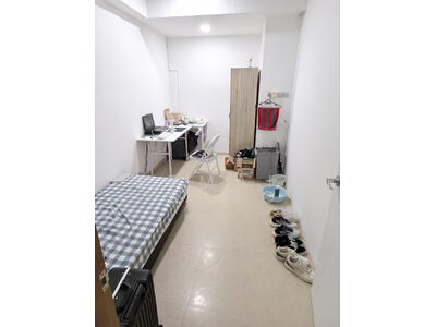 For Rent - The Carpmaelina