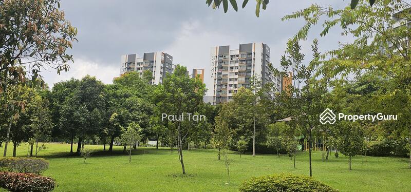 Abundant Opportunities for Recreation