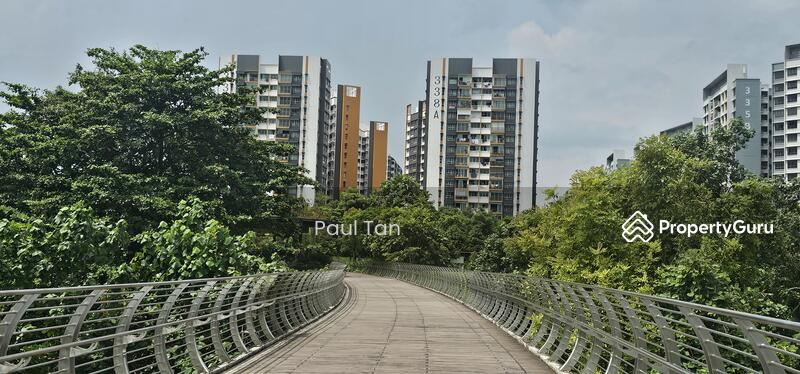 Bridge that connect to the huge Park