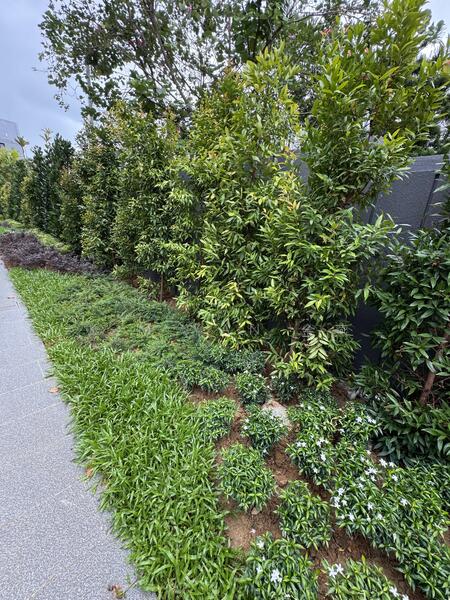 For Sale - Luxurious Brand New & freehold Bungalow, 4 levels with Lift and swimming pool