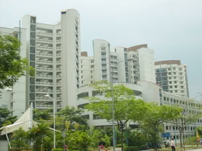 For Rent - 327B Anchorvale Road