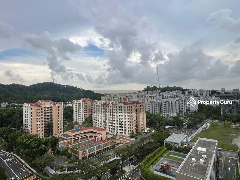 Unblock Nature View