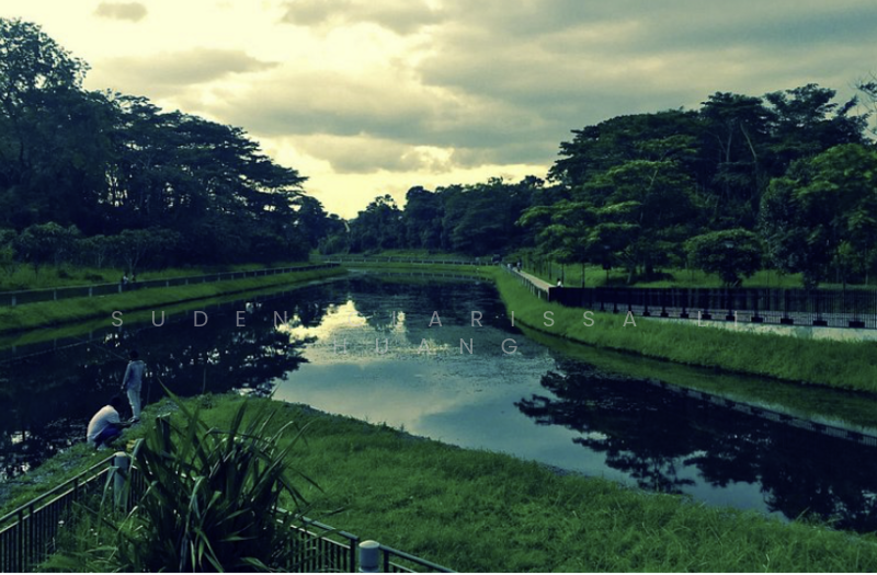 Singapore's Lung-Secondary Forest