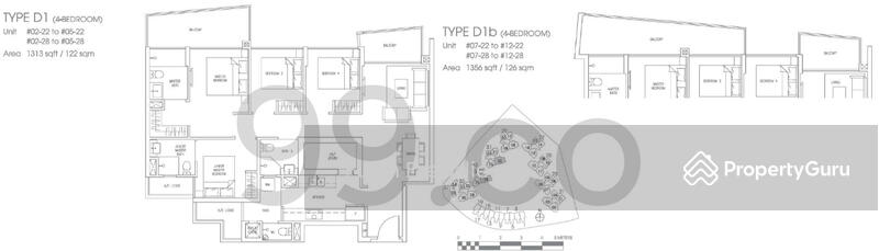 For Rent Skies Miltonia