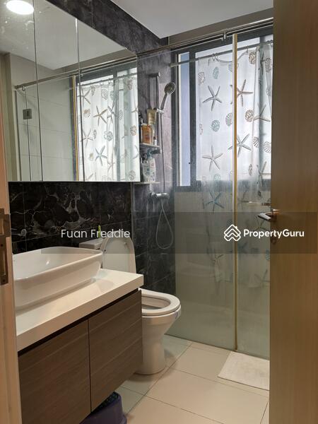 For Rent - Skies Miltonia