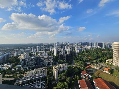 For Rent - Nouvel 18