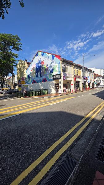 Shophouse freehold Joo Chiat Road Cheap, Joo Chiat Road, 4,823 sqft, Shop / Shophouse For Sale, by Leng Propnex, 60052800 - CommercialGuru.com.sg