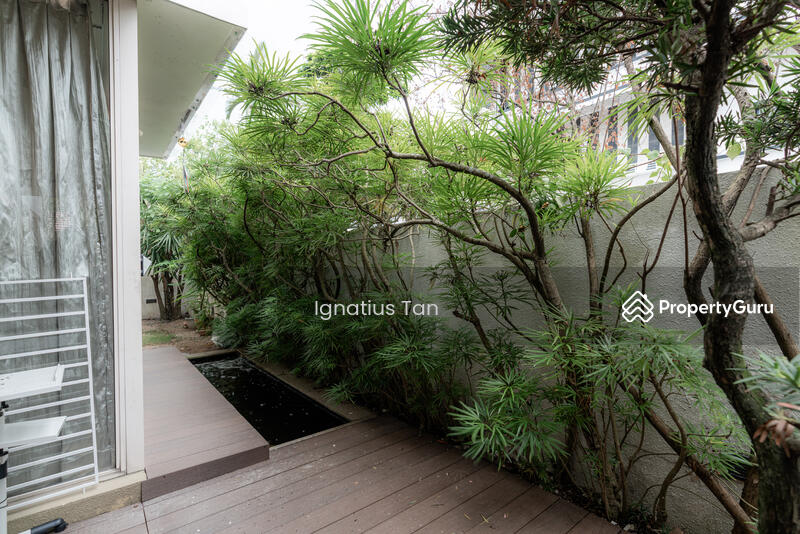Garden & Koi Pond