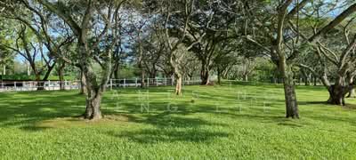 For Sale - WATTEN/SHELFORD. Commanding View. Sub-divisble Plot.