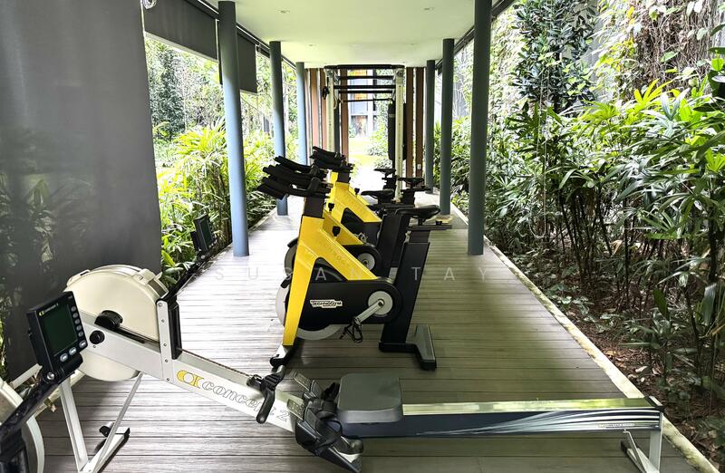 Outdoor Gym 