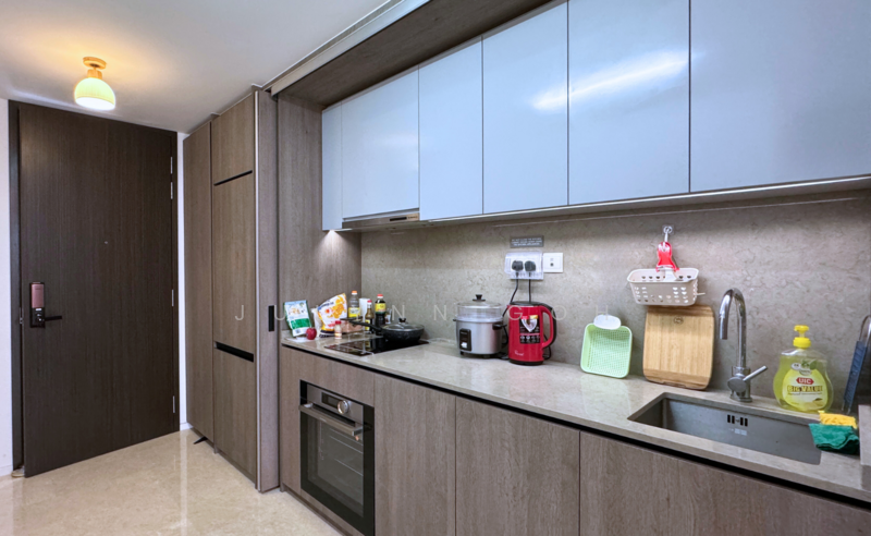 Avenue South Residence, 11 Silat Avenue, 1 Bedroom, 527 sqft, Condominium For Rent, by Julynn Goh, 60057505 - PropertyGuru.com.sg
